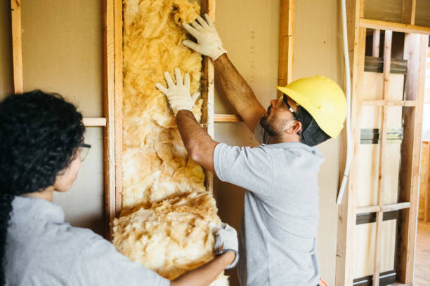 Best Insulation for New Construction  in Stillwater, MN